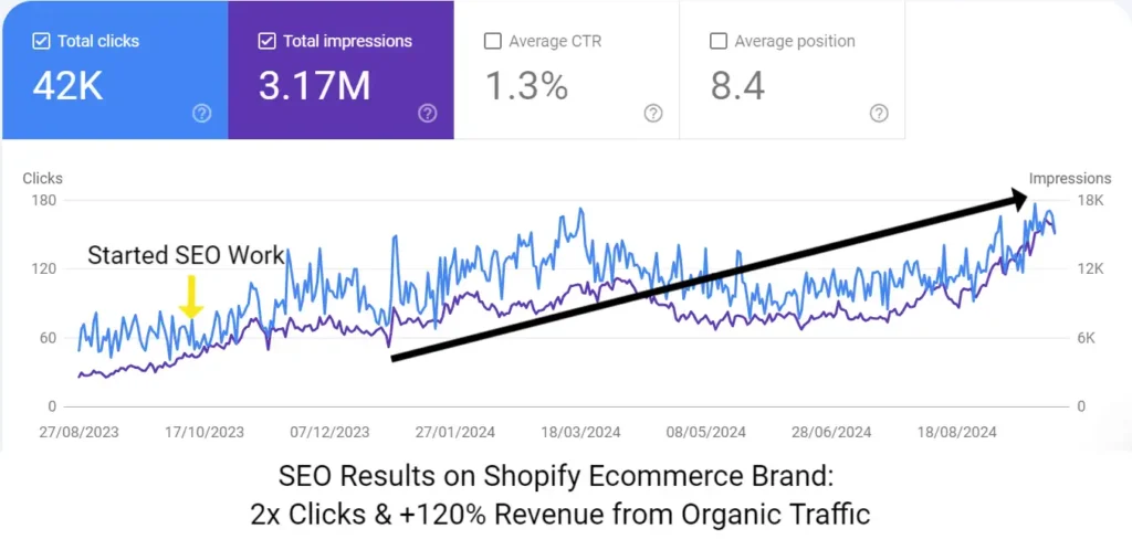 SEO Case Study - Shopify Ecommerce Websites